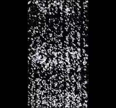 19K views · 48 reactions | Aero-Jet technology offers a luxurious shower experience while respecting our water supply. Using air injection to increase water volume by adding air into each water droplet, bathers experience a full, rich shower while using less water. | TOTOUSA | Facebook