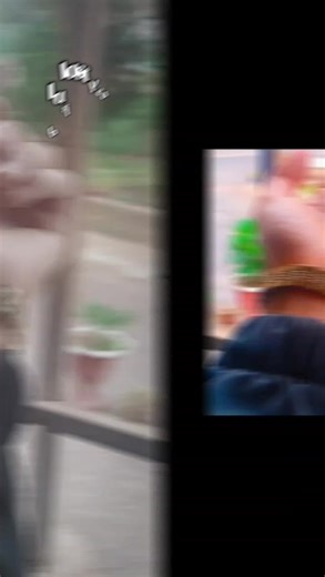 Reflecting on Last Semester: A Memorable Journey