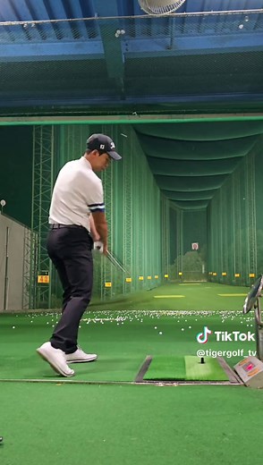TikTok의 타이거골프tv