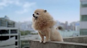 The Funniest Video Games of 2012