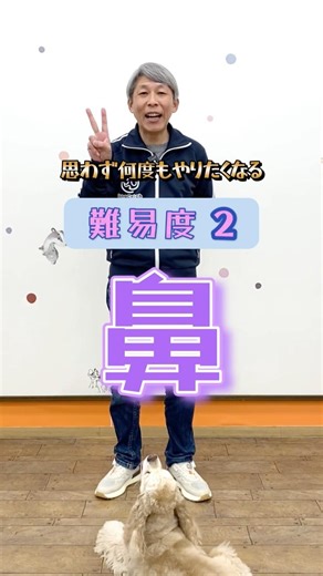 Dog Trick Difficulty Level 2 | [Nose] So funny and cute you'll want to do it again and again!