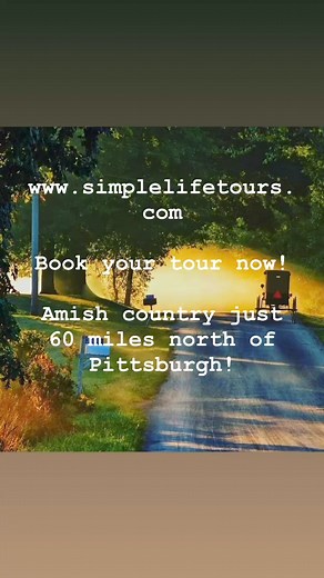 Tour Amish country this fall! #amishcountryescape#simplelife #exploreamishcountry #newwilmingtonpa #amishcountry | Simple Life in New Wilmington, Pa