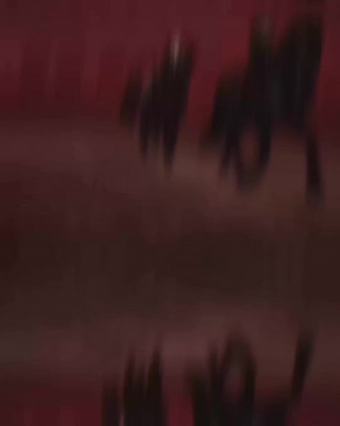 Northern Whispers: Dressage and Competition Hangout