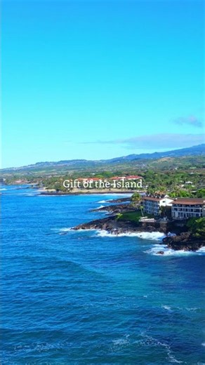 Feel Positive with a Hawaiian Morning 🌺 Vol.4｜Hawaiian Music｜Work & Relaxation