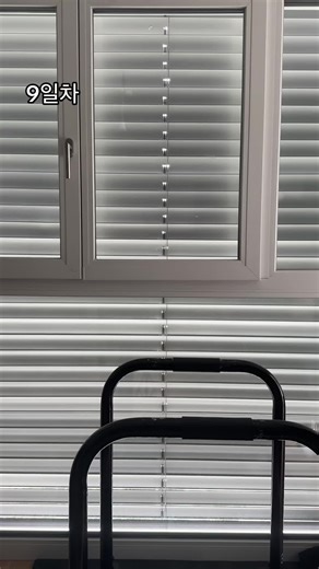 Tag9 - Dip Challenge Until day 30 than add kg #calesthenics #homeworkout #dips #dip #challange