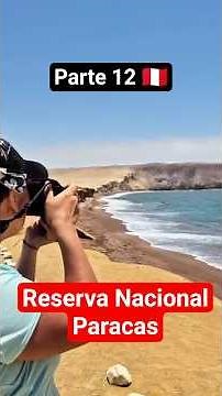 Paracas National Reserve: an incredible place that combines desert and ocean #paracas #reserve