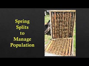 Mike Palmer, "A Year in French Hill Apiaries" a NY Bee Wellness webinar