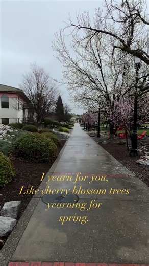 Romantic Expressions of Love in Spring