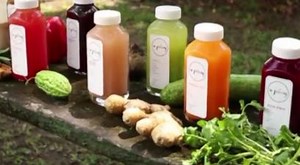 The Drinks List 饮品大全