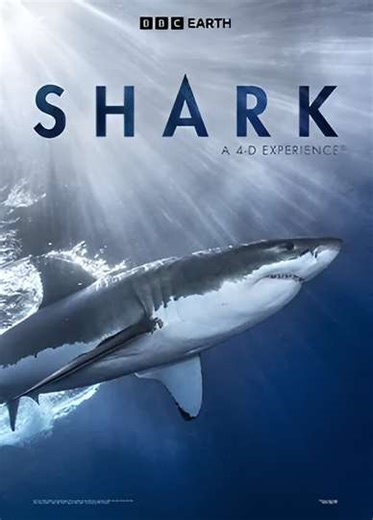 Shark: A 4D Experience (2017) - Movie