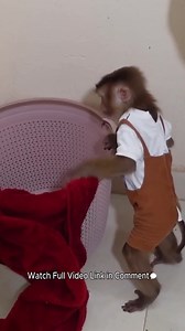 2.3K views · 53 reactions | Oh No! The Pupu Monkey pooped on Mom's jacket! | Monkey TV | Facebook