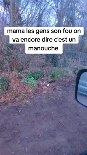 Humour et nature avec Manouche