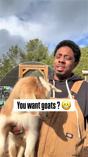 The Benefits of Goats on the Homestead