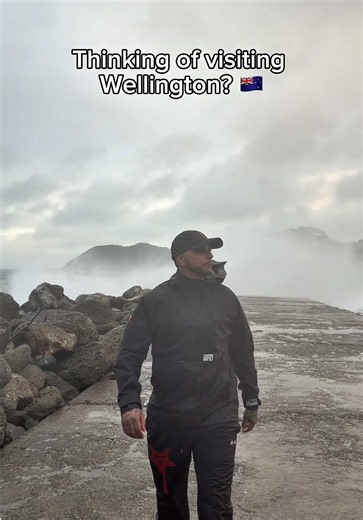 What’s Wellington really like… 😏😅🇳🇿 #fyp #wellington #newzealand #relatable #windycity
