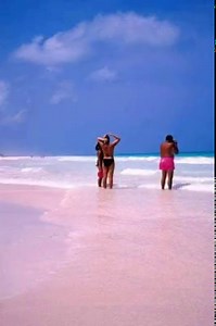 5.5K views · 59 reactions | Pink Sands Beach in Harbour Island, Bahamas!  | Relax Tube | Facebook