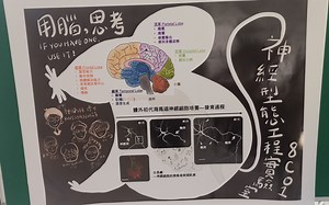 用Netlogo做複雜科學