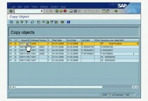 SAP HR Tutorial