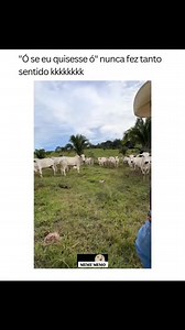 Segue a pagina galeraaa | Meme Memo