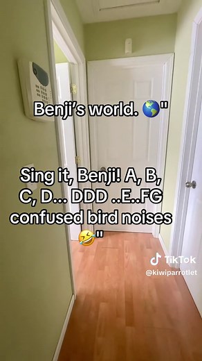 Benji the Talking Quaker Parrot: A Singing Sensation