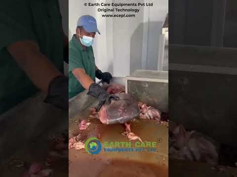 Fish Waste to Organic Compost using Shredder + De-Waterer. | ECEPL