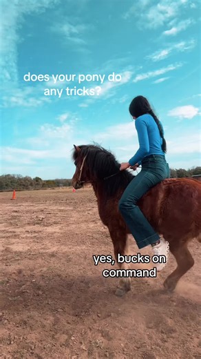 $P | CA$HIN P 🌟💗 (@springpenningtonn)’s video of Pony Horse