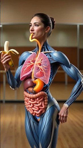 What Happens to a Banana Inside Your Body? | 3D Digestive System Animation