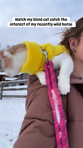 Had a little friend join us for part of our adventure yesterday! Riddle always tends to come see what’s up when I take Fawkes outside near the field. A friendship in the making, perhaps? | Fantastic.mr.fawkes