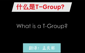 什么是T-Group？