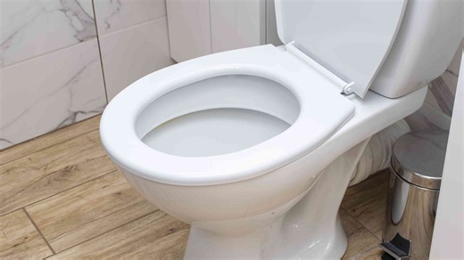 5 Creatures That Can Crawl In Through Your Toilet and How to Stop Them