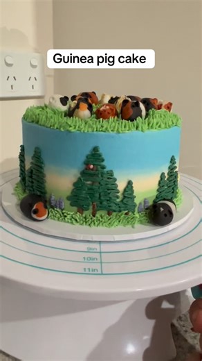 A lil video of the incredible guinea pig cake by @thepantrypiggies ( @waggaveganbakery ) | Cid Dwyer