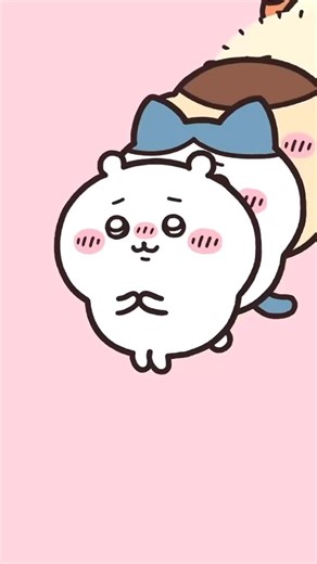 Chiikawa on Instagram: "#chiikawa #usagi #hachiware Daily update 09/11/2025"