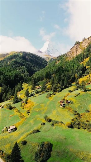 Life Is Short — #motivation #motivationalquotes #discipline