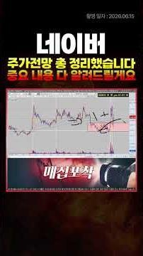 Comprehensive video summarizing Naver's stock price outlook