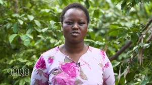 Turning cow dung into clean energy