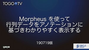 Morpheus を使って 行列データをアノテーションに 基づきわかりやすく表示する