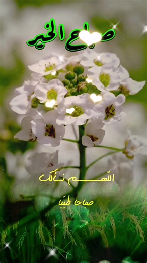 دعاء الصباح والرزق: يوم الأحد صباح الخير