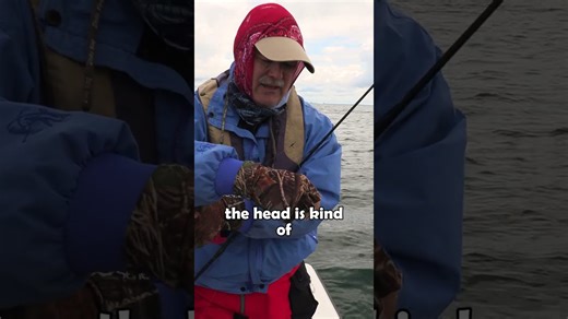 Tiny minnow perch catch!