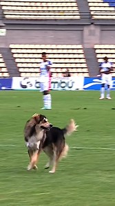 886K views · 46K reactions |  ¡Tranquilos muchachos, llegó el crack para resolver el partido! ¡Entra con la 10 y pidiendo la cinta de capitán! #LALIGAxWIN | Win Sports | Facebook