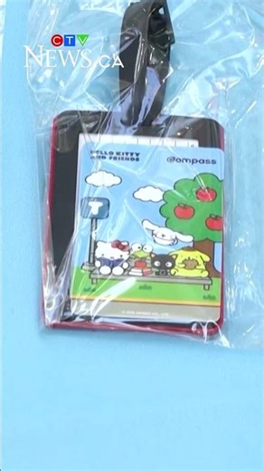 Huge turnout for Hello Kitty Compass Cards