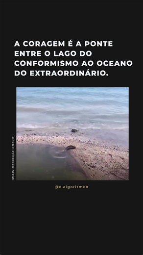 O PERIGO DE SE SENTIR SEGURO (SAIA DA ZONA DE CONFORTO)