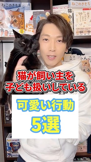 猫が飼い主を子ども扱いしている可愛い行動５選 #猫 #猫のいる暮らし #ねこ