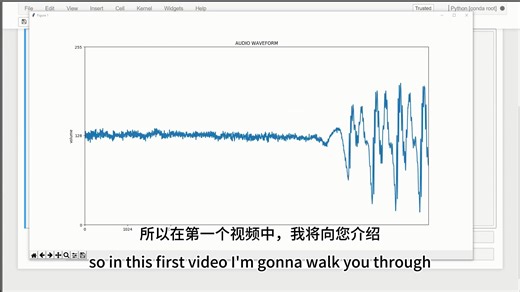 python实现音频频谱可视化分析 Audio Spectrum Analyzer （中英字幕）