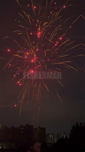 500 GRAM CAKS FIREWORKS BIG CAT FP6253ABCD