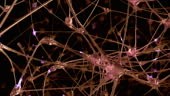 Journey through a network of neuronal cells and synapses in the brain...