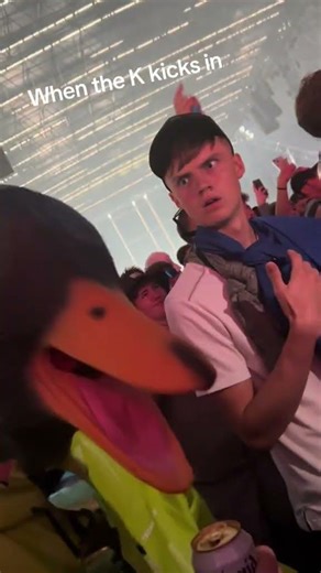 UK Raves 🐎 #dj #rave #dance #music #trending #viralshorts #memes #housemusic #viralvideo #funny #fyp