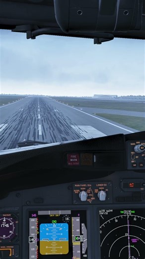 Smooth 737 landing into Ottawa #fypシ #aviation #landing #shorts