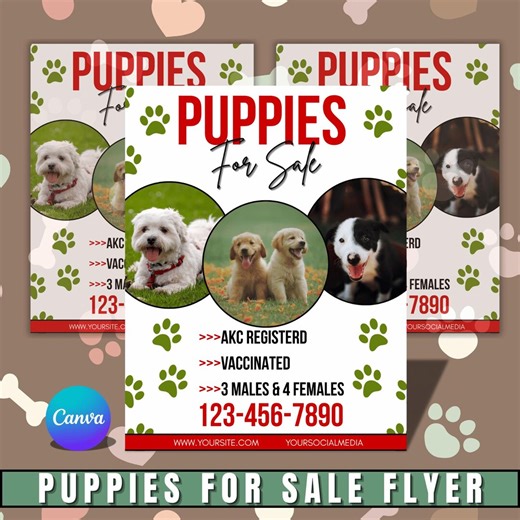 Puppies for Sale Flyer – Printable Pet Sale Flyer, Dog Adoption Poster, Tear-off Puppy Flyer, Marketing Pet Flyer PDF for Breeders - Etsy