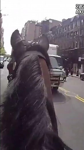 NYPD Gallops To Capture Purse Thief In Wild Chase #shorts