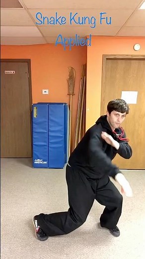 Snake Kung Fu Applied: Episode 3 #shaolinkungfu #chinesekungfu