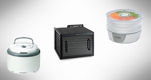 5 Best Dehydrators for Jerky in [currentyear]